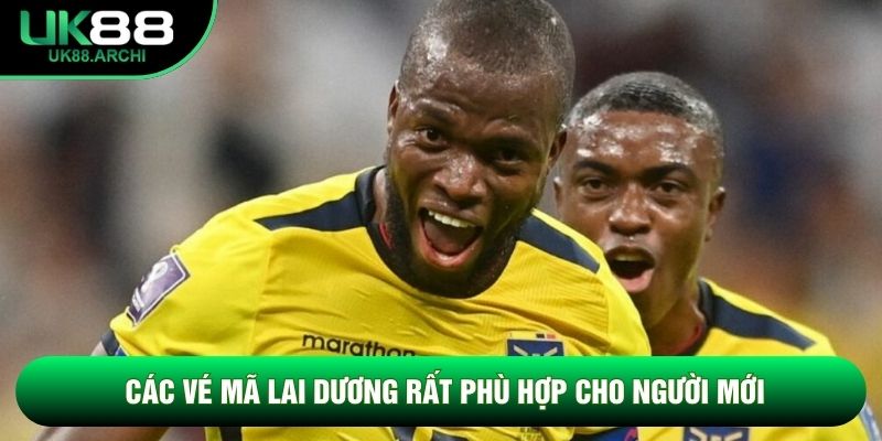 Các vé Mã Lai dương rất phù hợp cho người mới Các vé Mã Lai dương rất phù hợp cho người mới