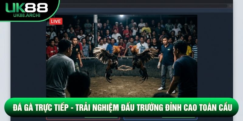 Đá Gà Trực Tiếp - Trải Nghiệm Đấu Trường Đỉnh Cao Toàn Cầu