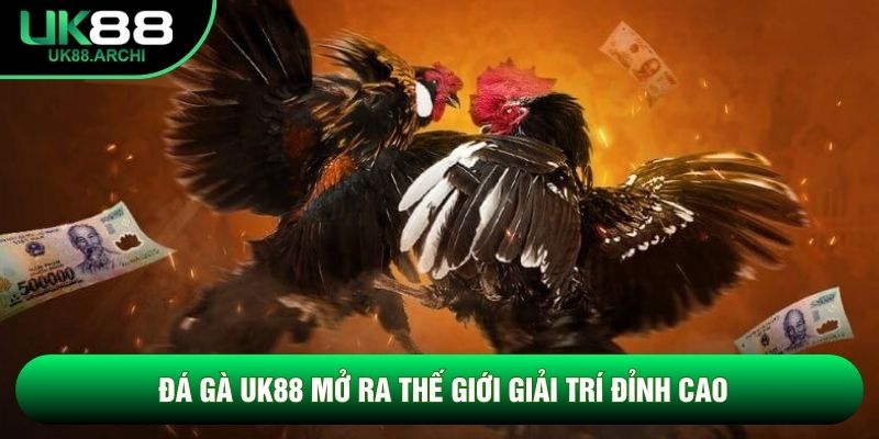 Đá Gà UK88 mở ra thế giới giải trí đỉnh cao Đá Gà UK88 mở ra thế giới giải trí đỉnh cao