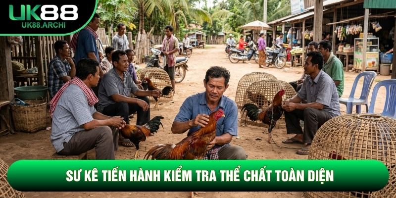 Sư kê tiến hành kiểm tra thể chất toàn diện Sư kê tiến hành kiểm tra thể chất toàn diện